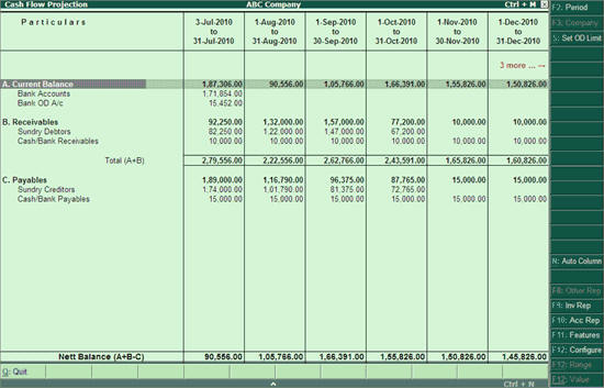 cash flow projection